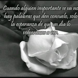 Meet your Posher, Dania